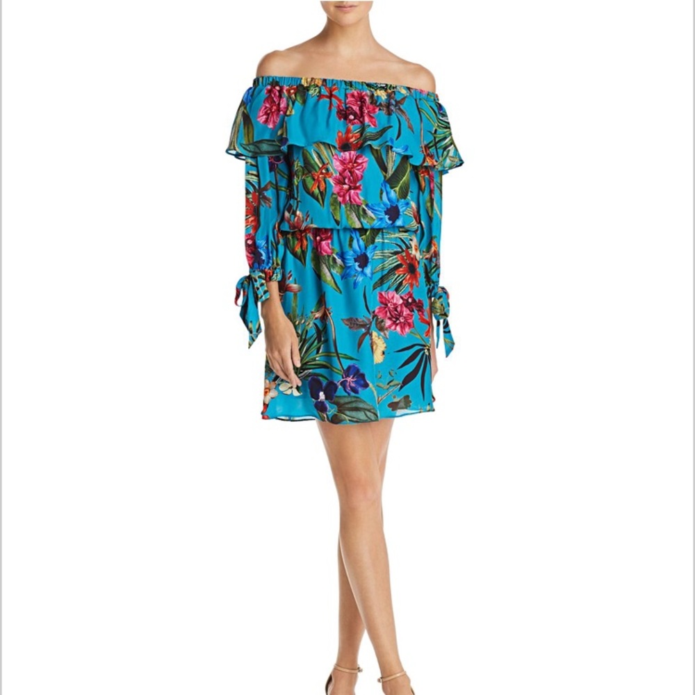 Parker New York Alexis Off the Shoulder dress